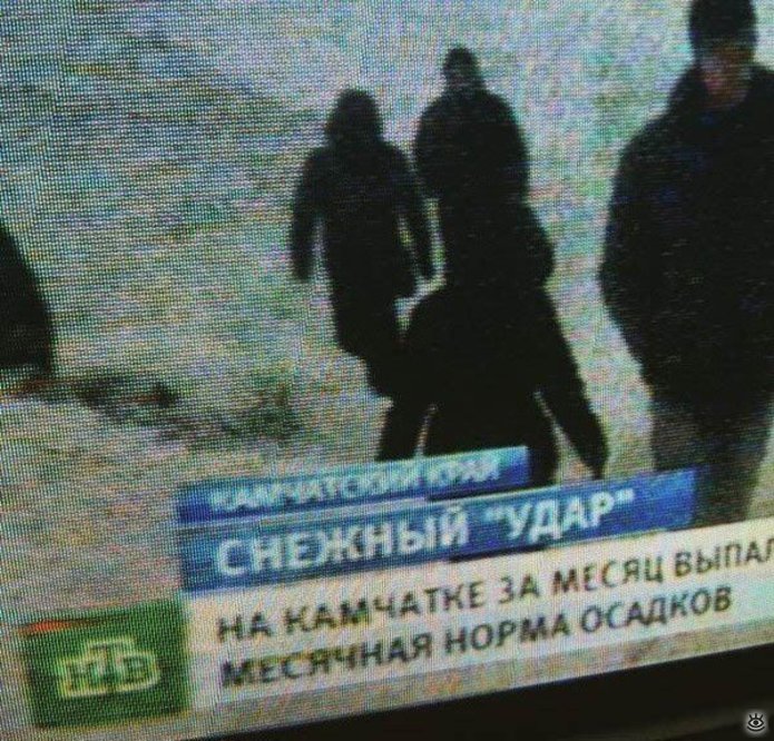 Я - рептилоид! 10