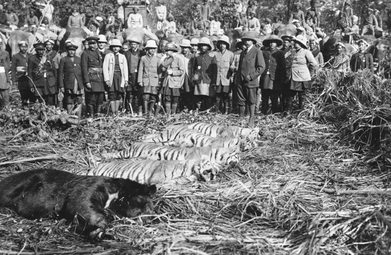 Архивные фотографии, которые вас обязательно поразят  архив, история, фото