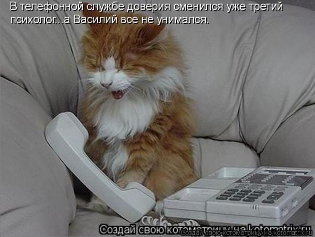 imgKfM20067 (640x481, 158Kb)