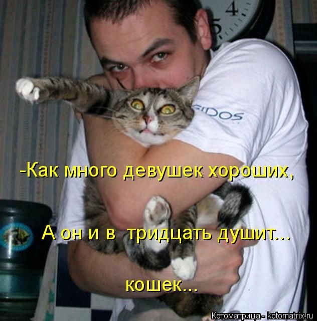 Лучшие котоматрицы недели