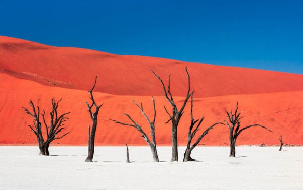 Лучшие фотографии от National Geographic за январь 2016