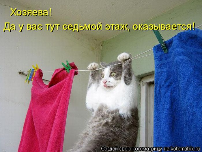 large (3) (700x525, 282Kb)