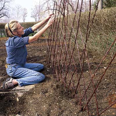 Шпалеры для растений