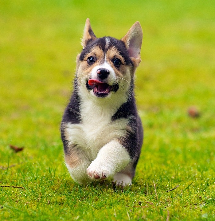 ������ ����� �����-�����. ����