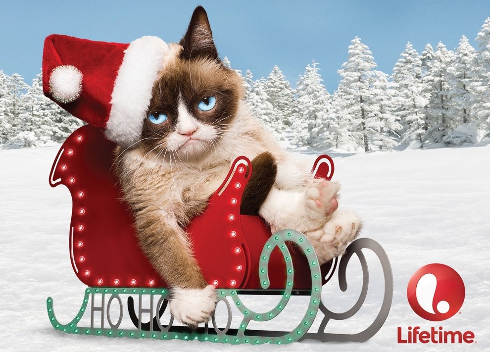 10 заветных секретов успеха самого богатого кота в мире GrumpyCat09 10 заветных секретов успеха самого богатого кота в мире