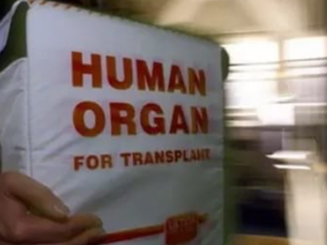 Евреи занимаются чёрной трансплантологией по всему миру