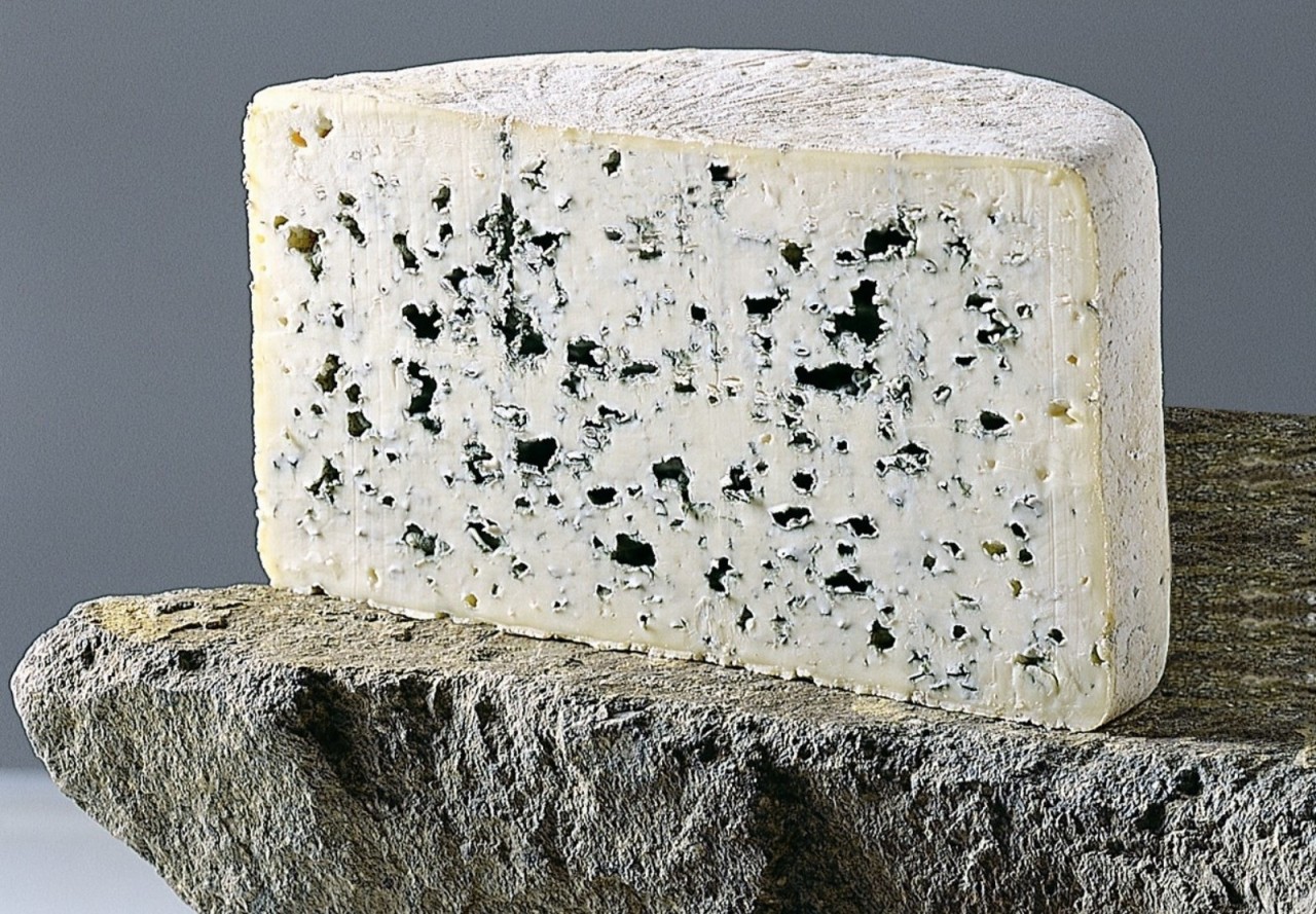 Рокфор(-Roquefort) - аристократ голубых кровей Рокфор(-Roquefort) - аристократ голубых кровей (39 фото)