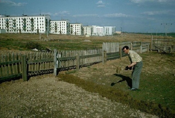 Уход за огородом. СССР, Москва, 1964 год. Уход за огородом. СССР, Москва, 1964 год.
