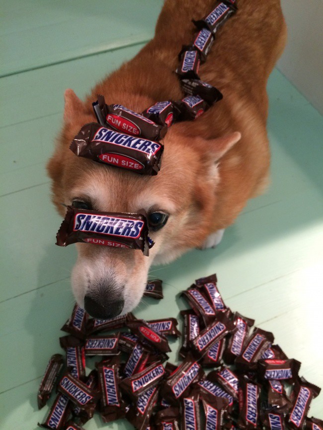 � ������ ����������� �������� �������, ����