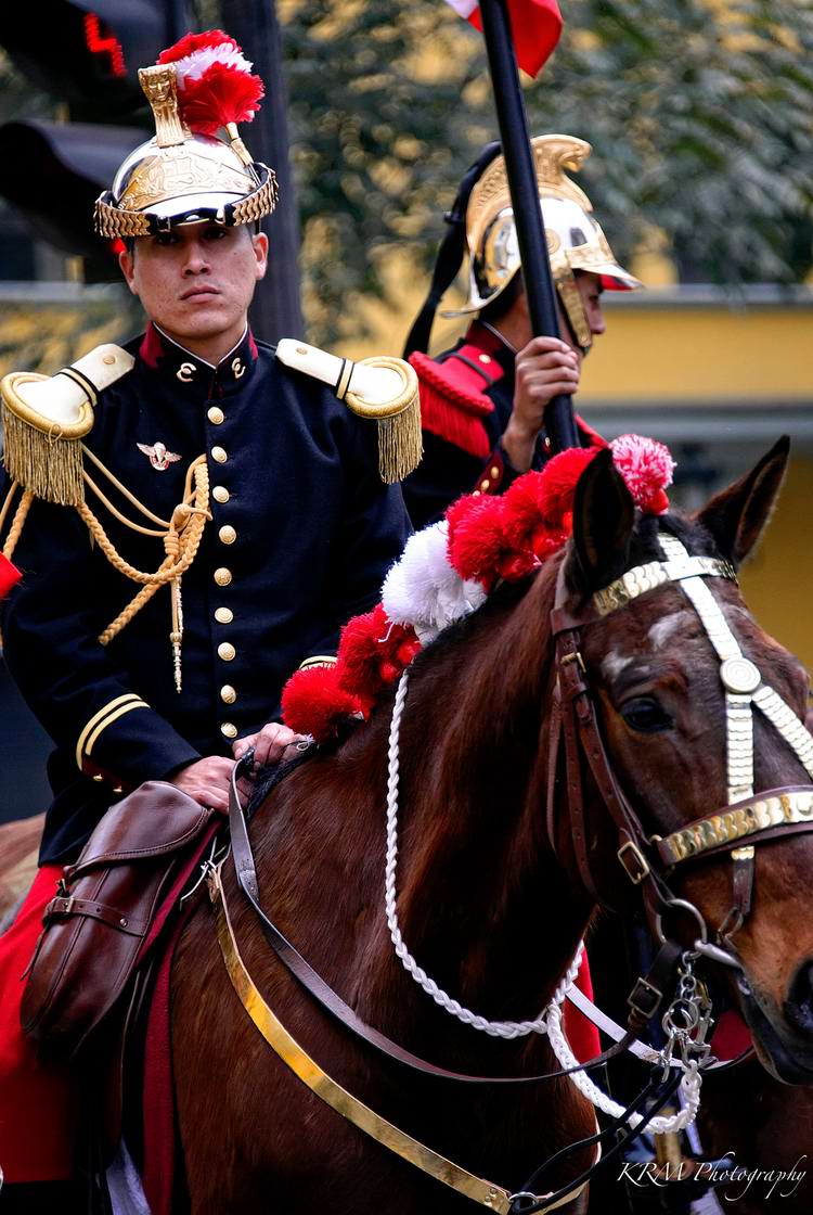 Драгуны с конскими хвостами: Президентская гвардия Перу (35)