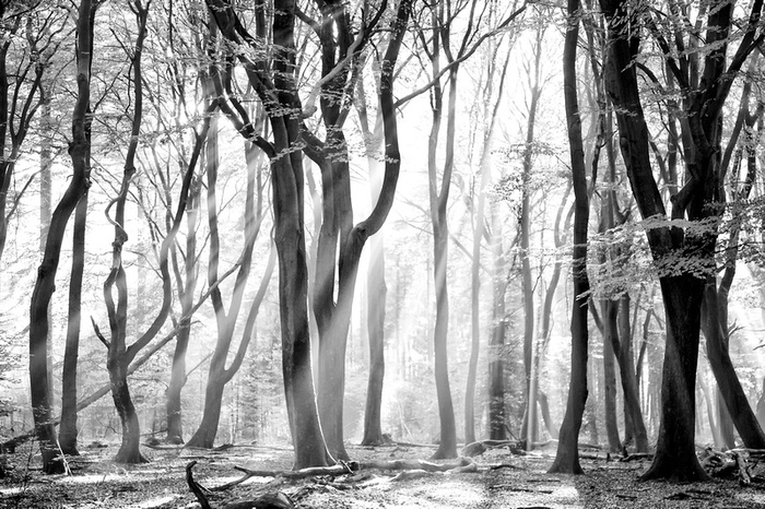     : Lars van de Goor