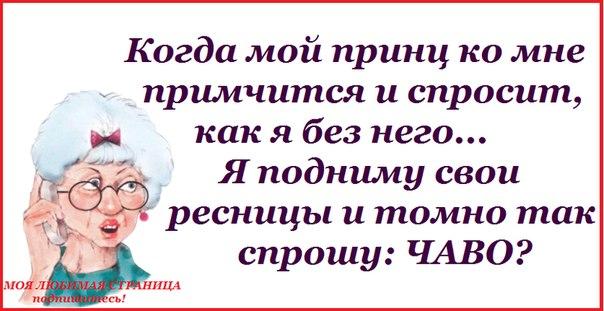 Позитивные фразочки в прикольных картинках (25 штук)