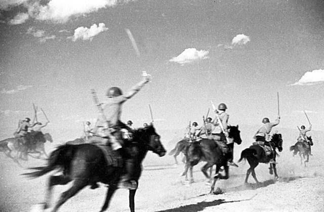Как кошки, верблюды и другие животные помогали Красной Армии одержать победу во Второй мировой войне Как кошки, верблюды и другие животные помогали Красной Армии одержать победу во Второй мировой войне