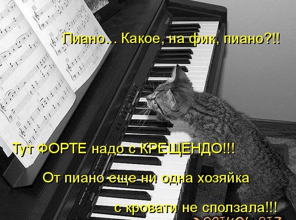 Котоматрица (81 фото)