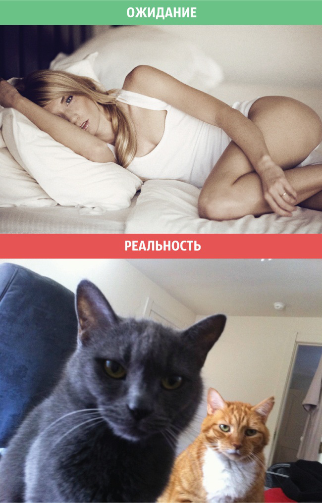 Отношения: Ожидание и реальность