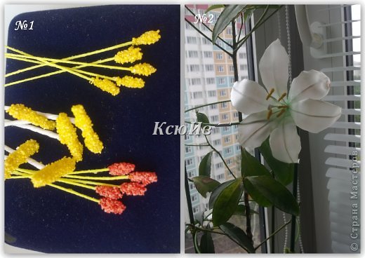 ������-����� ������� ������� �����-���� + �� �����1 ����� ������ ������� ���� ����� ��������� ���� 16