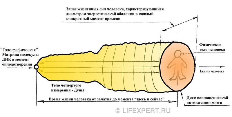 Структура души человека