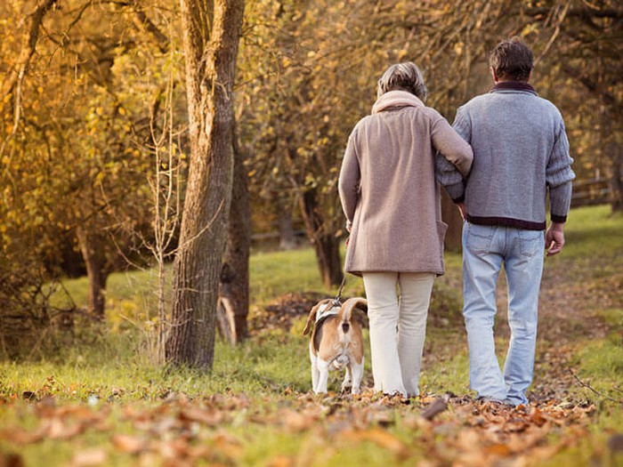 Слабоумие никогда не приходит внезапно