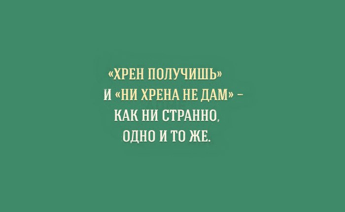 14 особенностей русского языка, которые сложно понять иностранцам