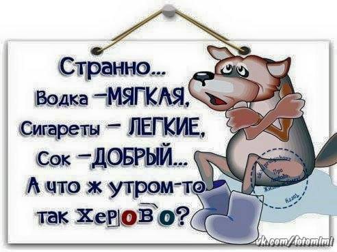 3085196_original_1_ (492x369, 33Kb)