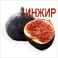 ����� ����� � ���������