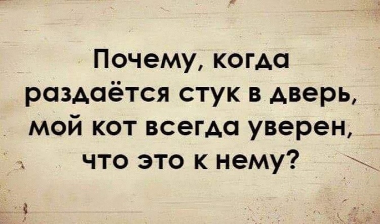 11 самых интересных не выдуманных историй, которые обязательно поднимут настроение 11 самых интересных не выдуманных историй, которые обязательно поднимут настроение