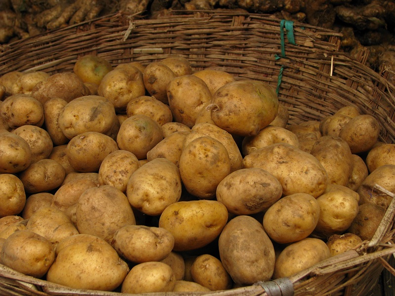 картофель