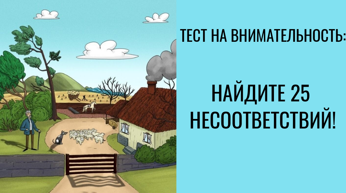 Что здесь не так картинки с ответами