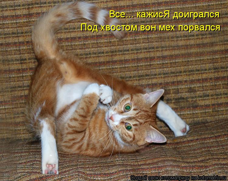 Девушки, научите меня вязать Волшебник страны Оз (The Wizard Of Oz цитаты из фильма)