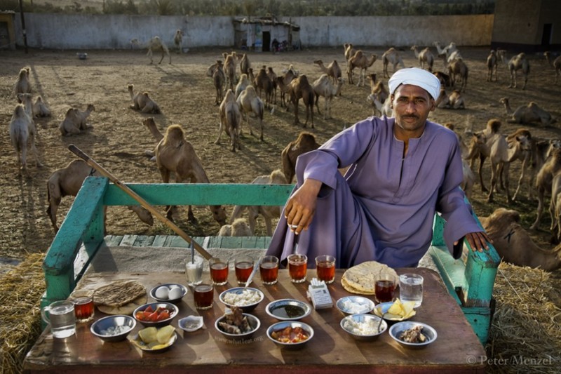 Сале Абдул Фадлилли, продавец верблюдов из Каира, Египет. еда, калорийность, пища, факты