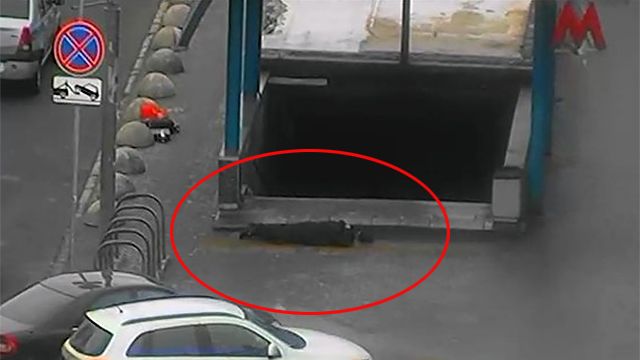 Новости кадыров видео 2016 ютуб последнее
