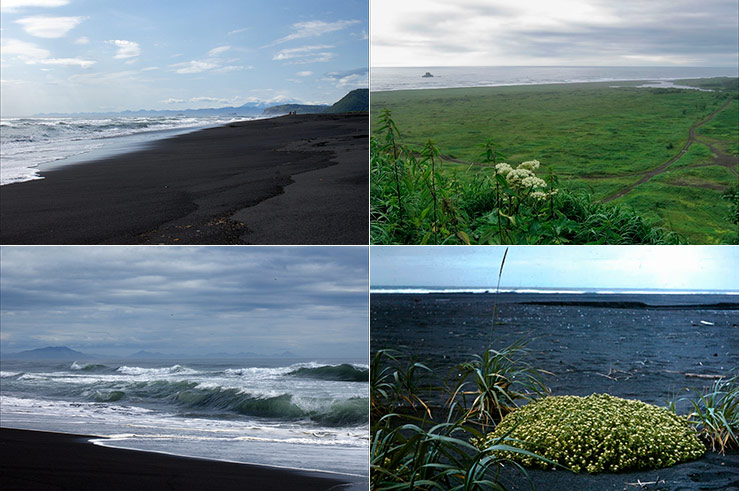 Вид могучего и древнего океана, обрамлённого необычным чёрным вулканическим песком — незабываемое зрелище