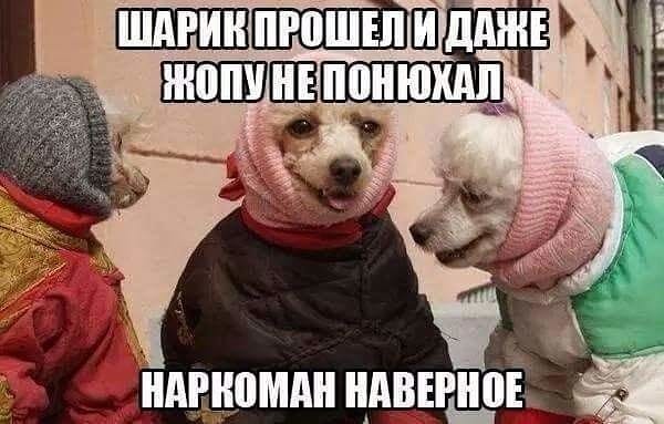 Что такое счастливое детство? Сухой памперс, крепкое здоровье, что-нибудь весёлое по телеку... Что такое счастливое детство? Сухой памперс, крепкое здоровье, что-нибудь весёлое по телеку...