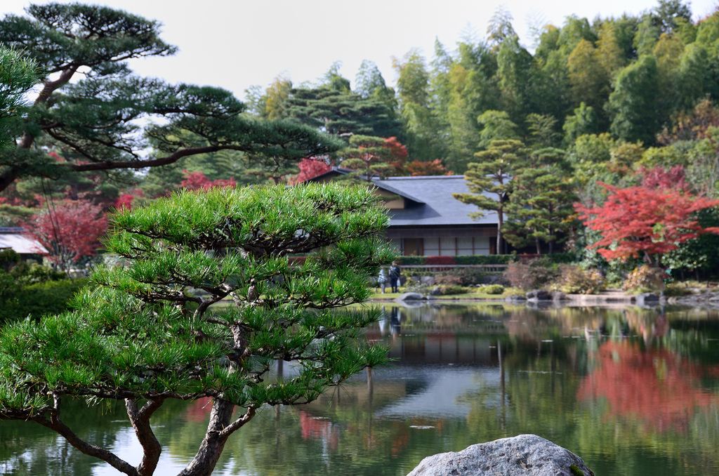 �������� ��� ��� ������ ������������ ������ �������