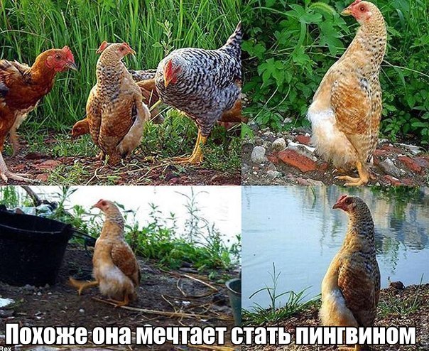   ... !