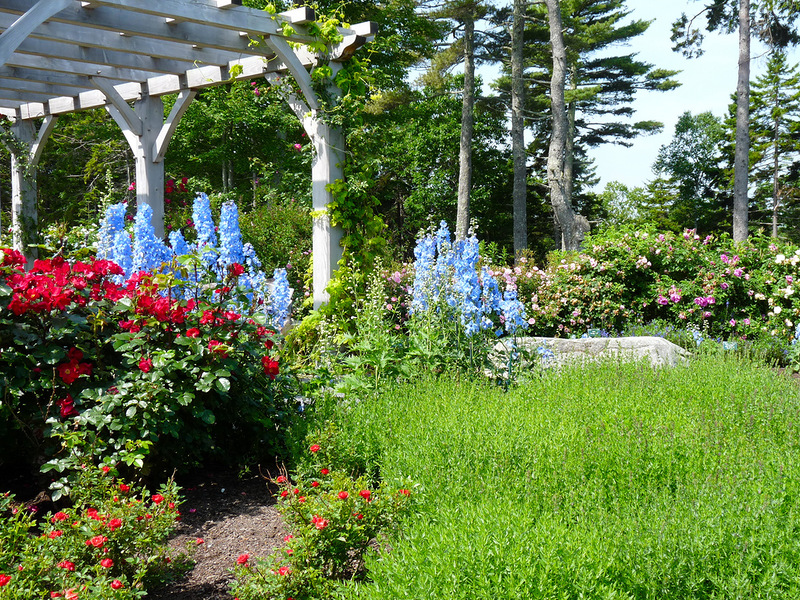     (COASTAL MAINE BOTANIC GARDEN). 