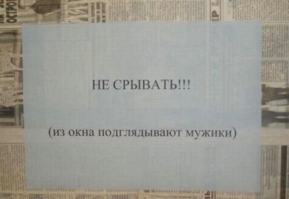 Незабываемые народные перлы