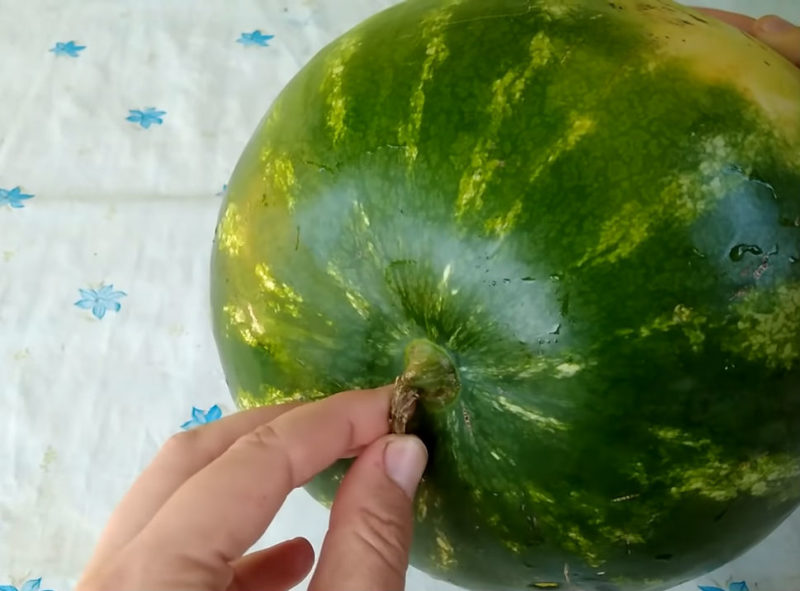 Важно знать: выбираем самый спелый, вкусный арбуз без нитратов Важно знать: выбираем самый спелый, вкусный арбуз без нитратов