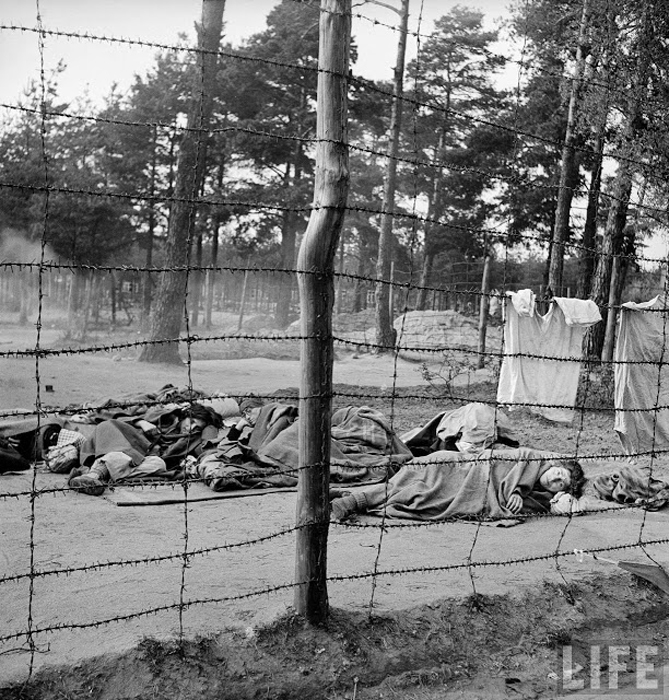 20 шокирующих фотографий из концлагеря Берген-Бельзен сразу после его освобождения 20 шокирующих фотографий из концлагеря Берген-Бельзен сразу после его освобождения