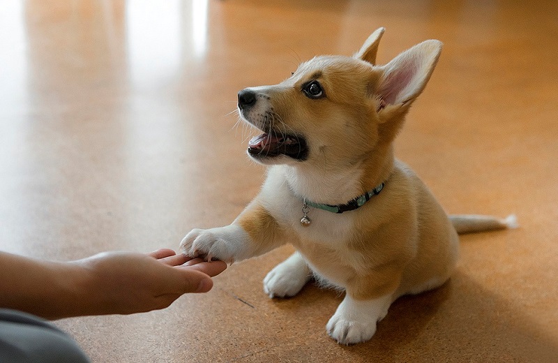 ������ ����� �����-�����. ����