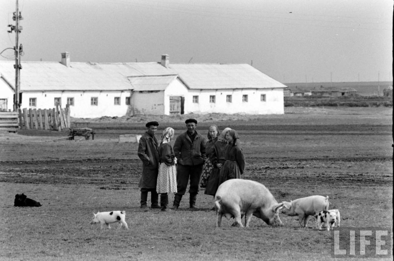 алексеевка в казахстане