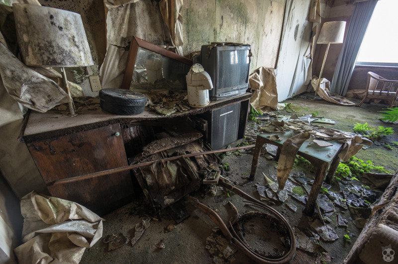 original.jpg#20694274937