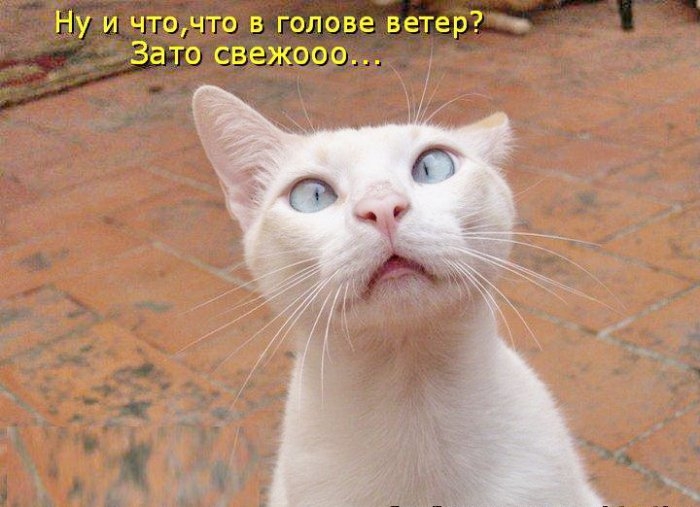 original (16) (700x507, 189Kb)