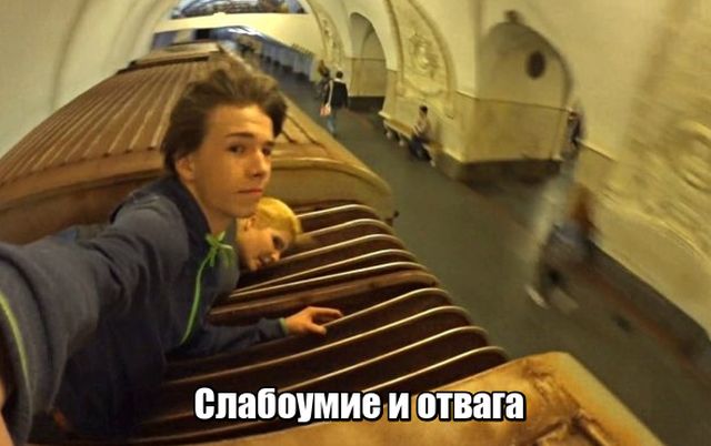 Подборка картинок Подборка картинок
