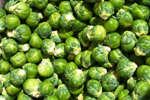 Топ-25: Продукты питания, которые лучше не есть перед свиданием Продукты питания, которые лучше не есть перед свиданием