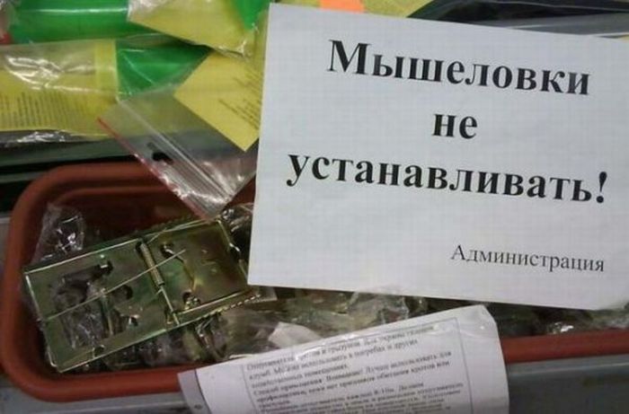 Поднимаем настроение! Поднимаем настроение!