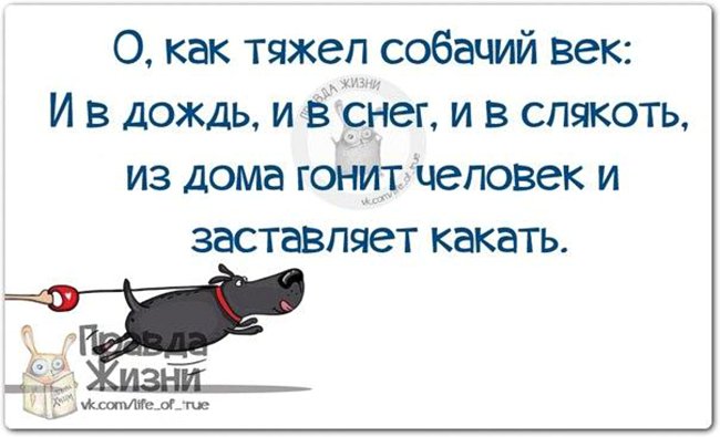 Кто рано встает, тот точно не я! Вся правда жизни в юморе в картинках