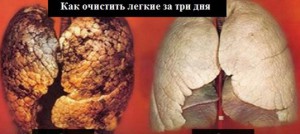Результативная методика очищения лёгких за три дня – облегчение наступает буквально сразу! Результативная методика очищения лёгких за три дня – облегчение наступает буквально сразу!