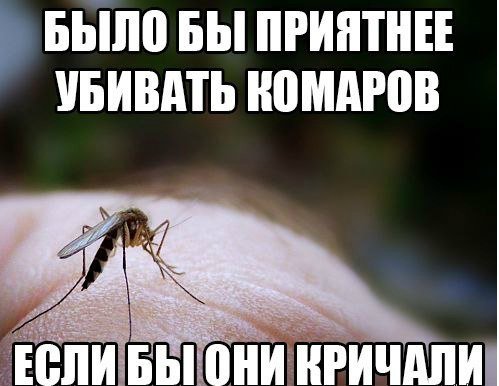 Вот оно какое наше лето!... Вот оно какое наше лето!...