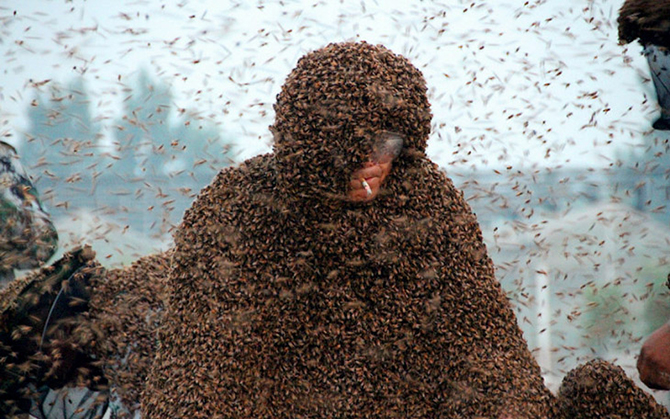 Животные в фотографиях